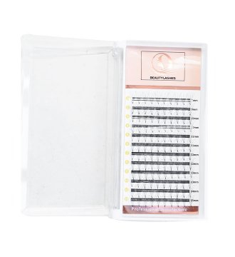 6P Pre-made fans volume eyelash extension