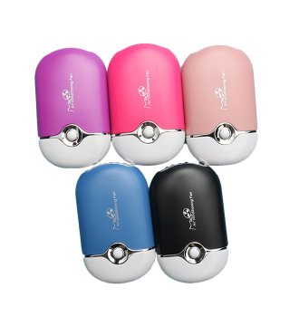 Mini Fan Lash Dryer