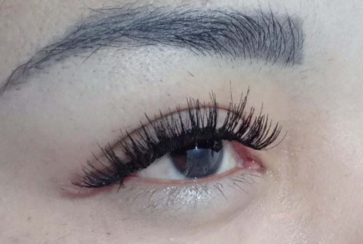 Where Can I Find Professional Eyelash Extension in Tennessee?